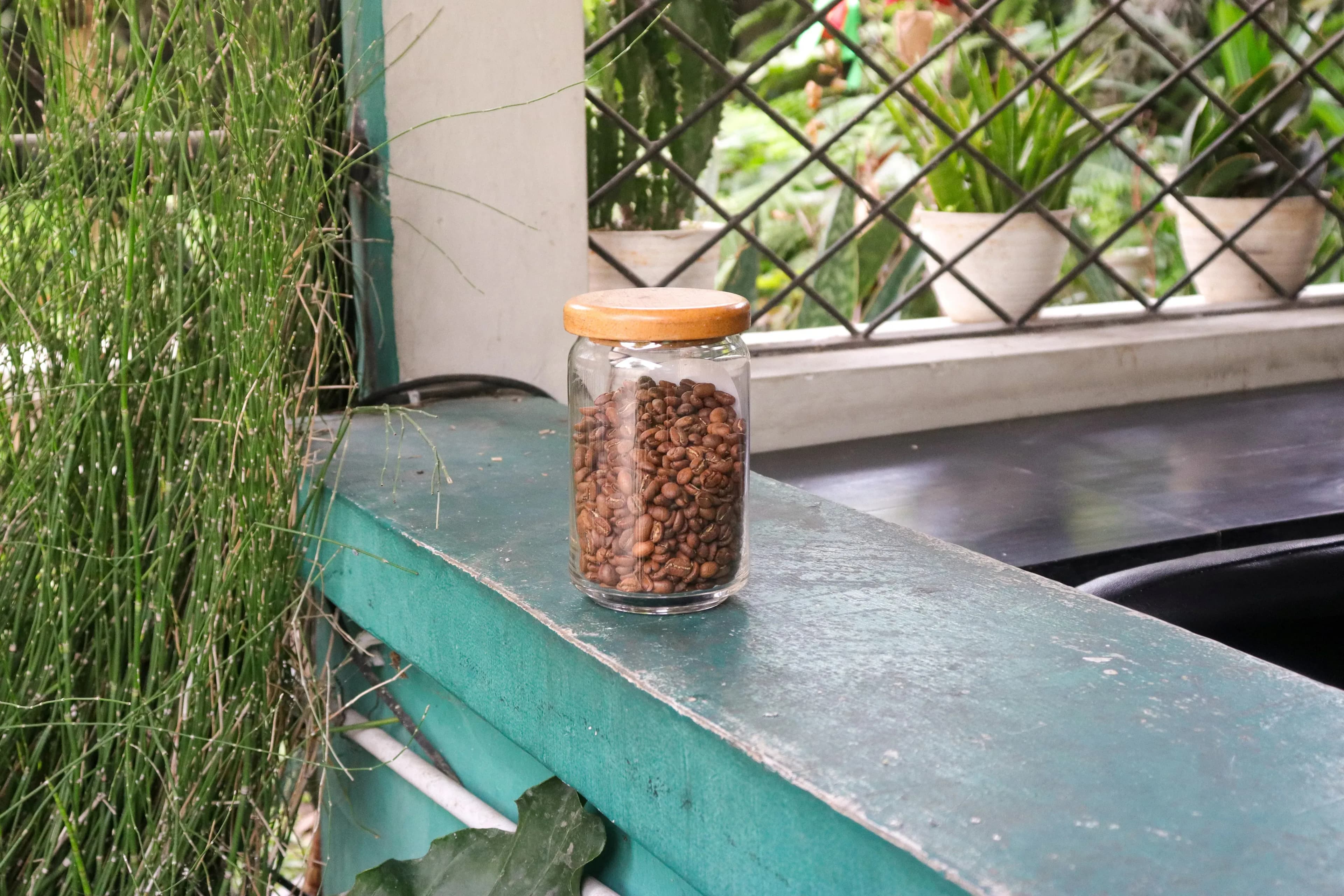 Kaffee richtig lagern – So bleibt dein Aroma erhalten