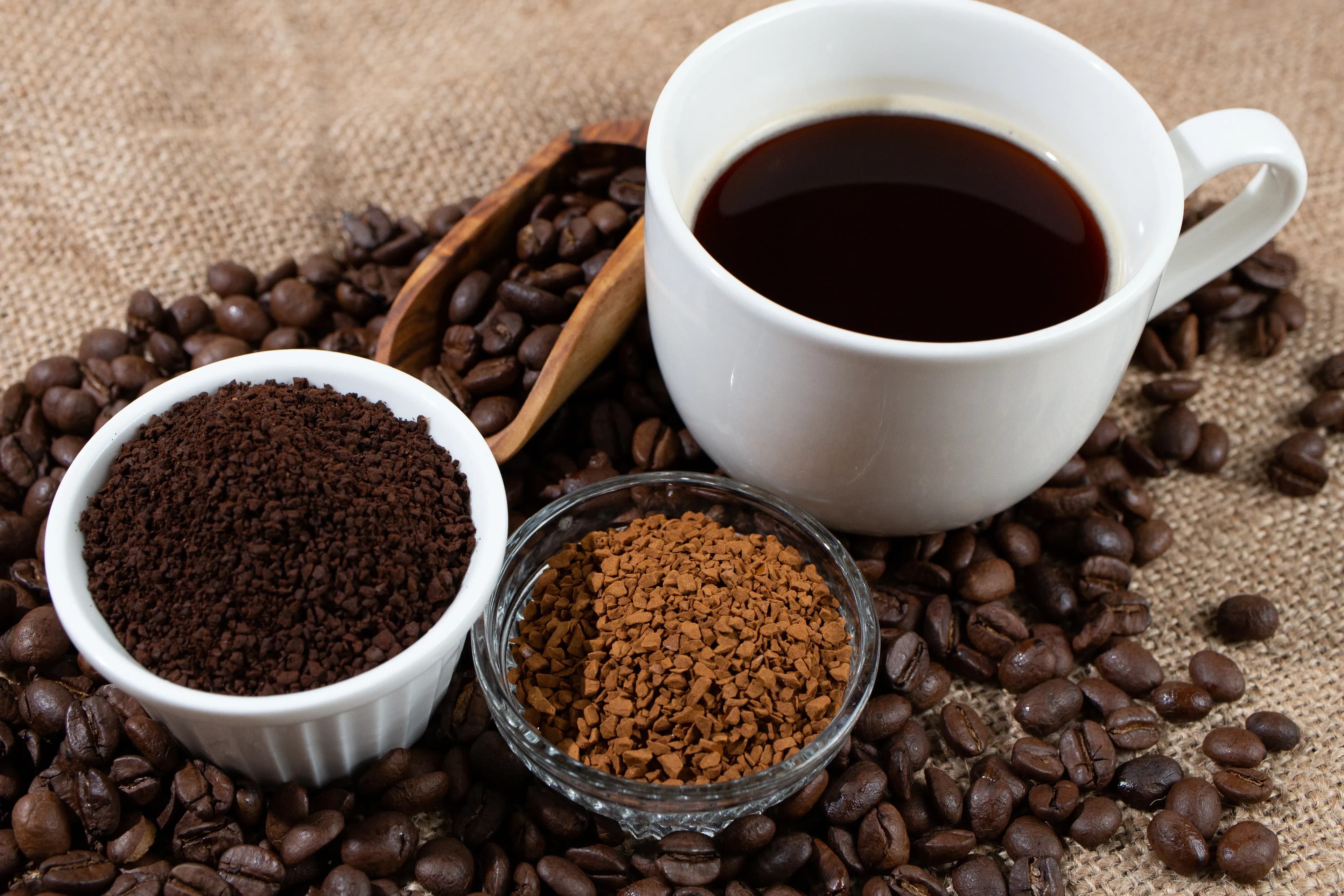 Arabica oder Robusta Kaffee – Unterschiede einfach erklärt