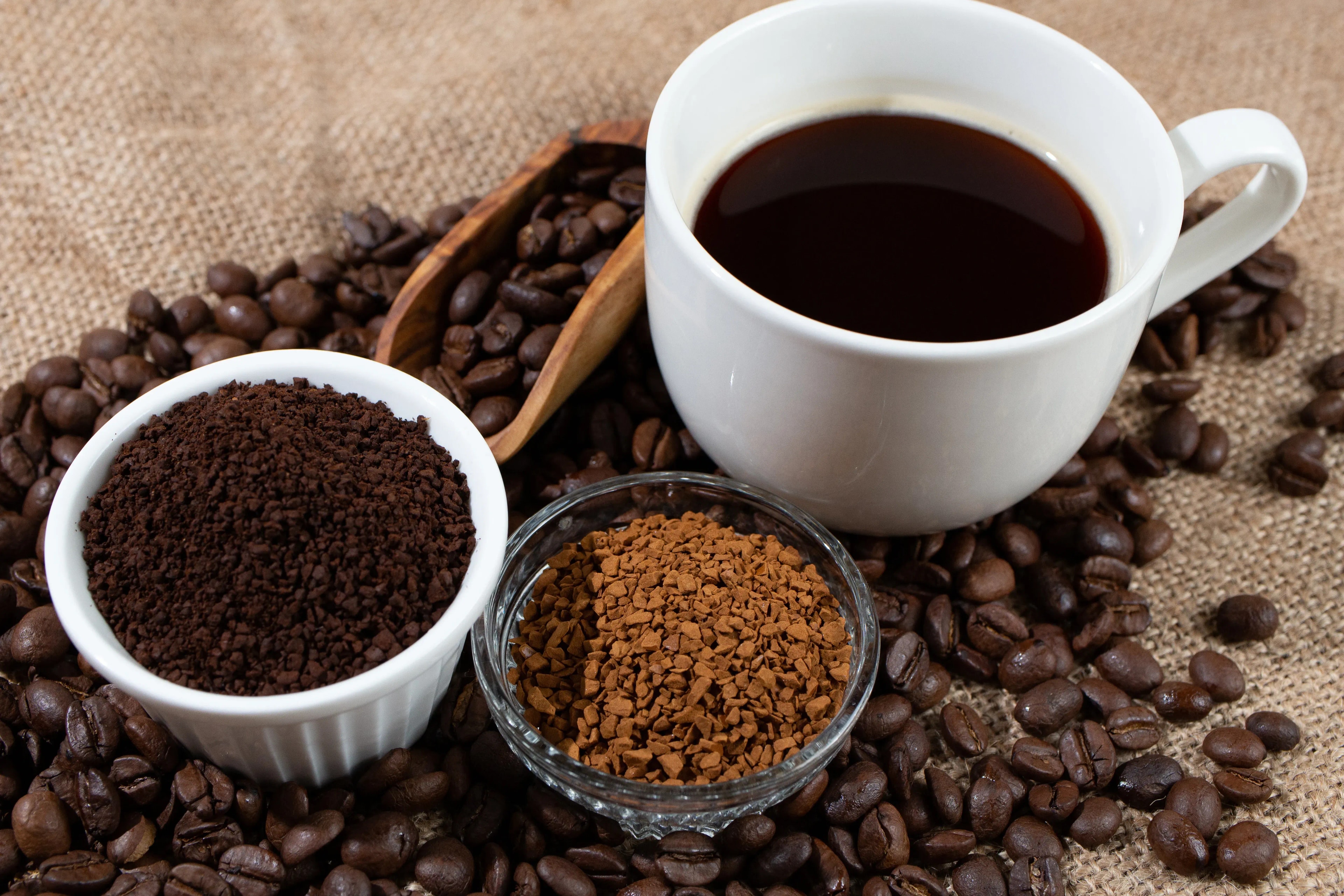 Arabica oder Robusta Kaffee – Unterschiede einfach erklärt